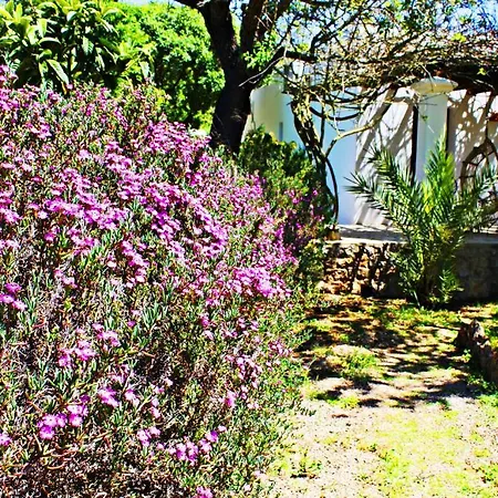 Casa rural Fuster Sant Joan De Labritja